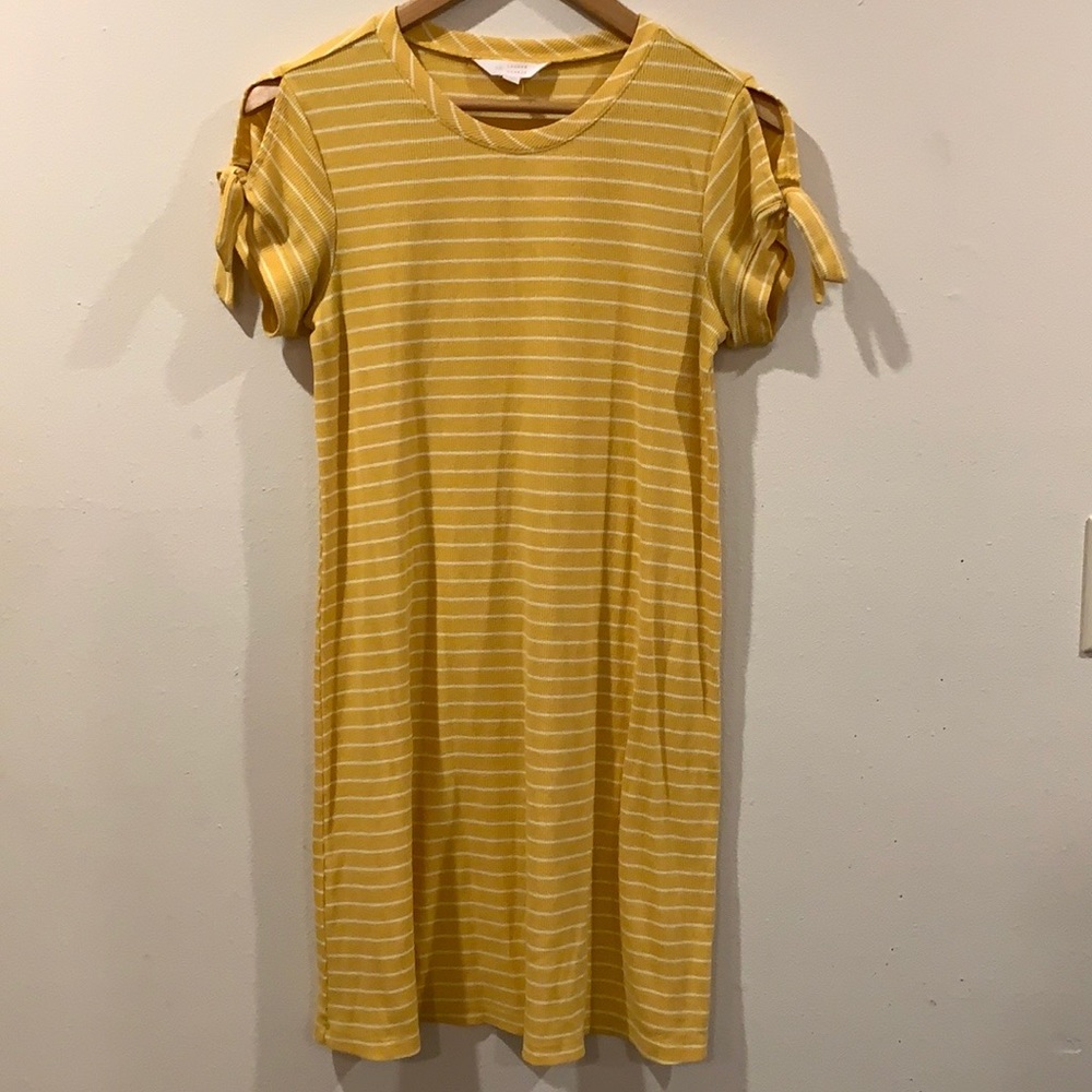 Lauren Conrad : woman’s swing dress